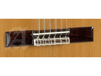 Alhambra 5P incl.Gig Bag Alhambra 5P incl.Gig Bag